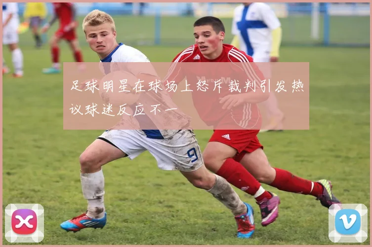 足球明星在球场上怒斥裁判引发热议球迷反应不一