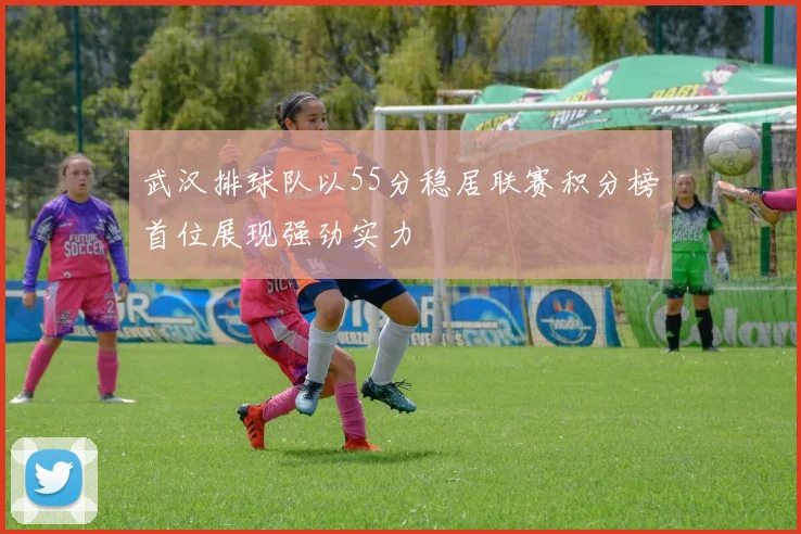武汉排球队以55分稳居联赛积分榜首位展现强劲实力