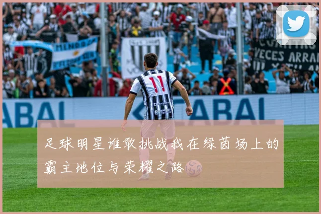 足球明星谁敢挑战我在绿茵场上的霸主地位与荣耀之路
