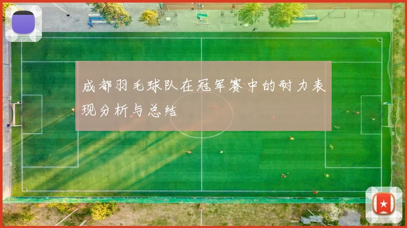 成都羽毛球队在冠军赛中的耐力表现分析与总结