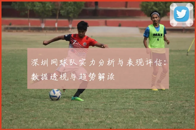 深圳网球队实力分析与表现评估：数据透视与趋势解读