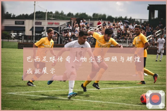 巴西足球传奇人物全景回顾与辉煌成就展示