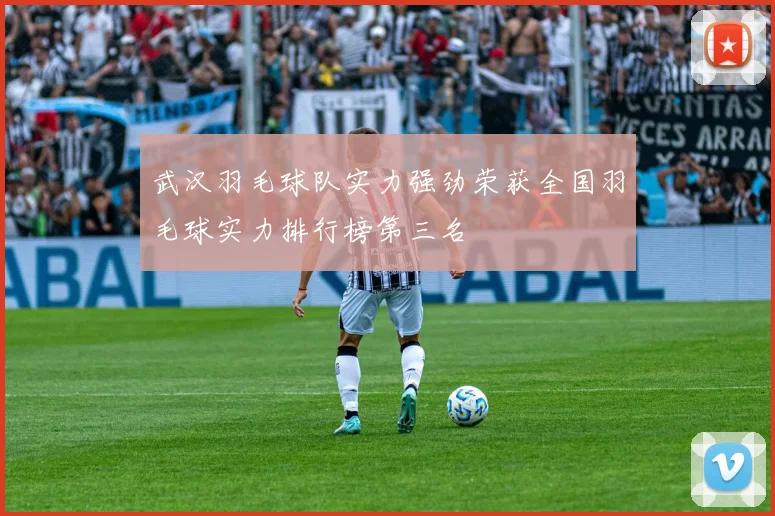 武汉羽毛球队实力强劲荣获全国羽毛球实力排行榜第三名