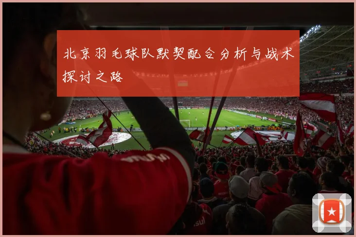 北京羽毛球队默契配合分析与战术探讨之路