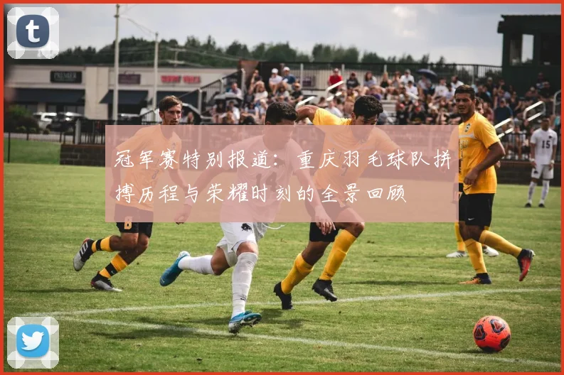 冠军赛特别报道：重庆羽毛球队拼搏历程与荣耀时刻的全景回顾