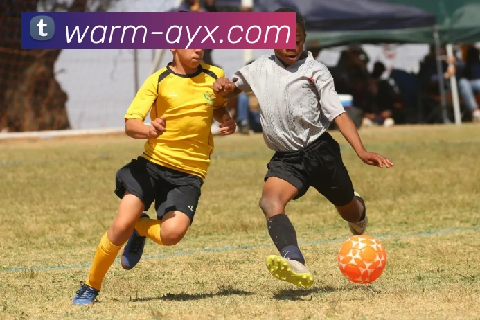 多媒体互动体验